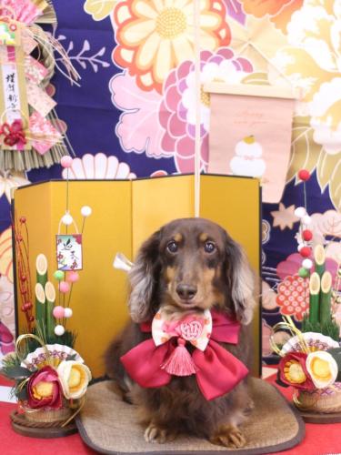 20240116ここあくん